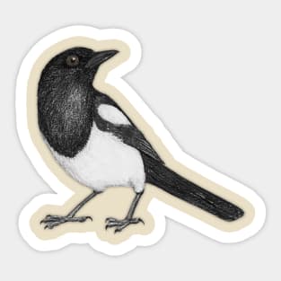 Magpie Sticker